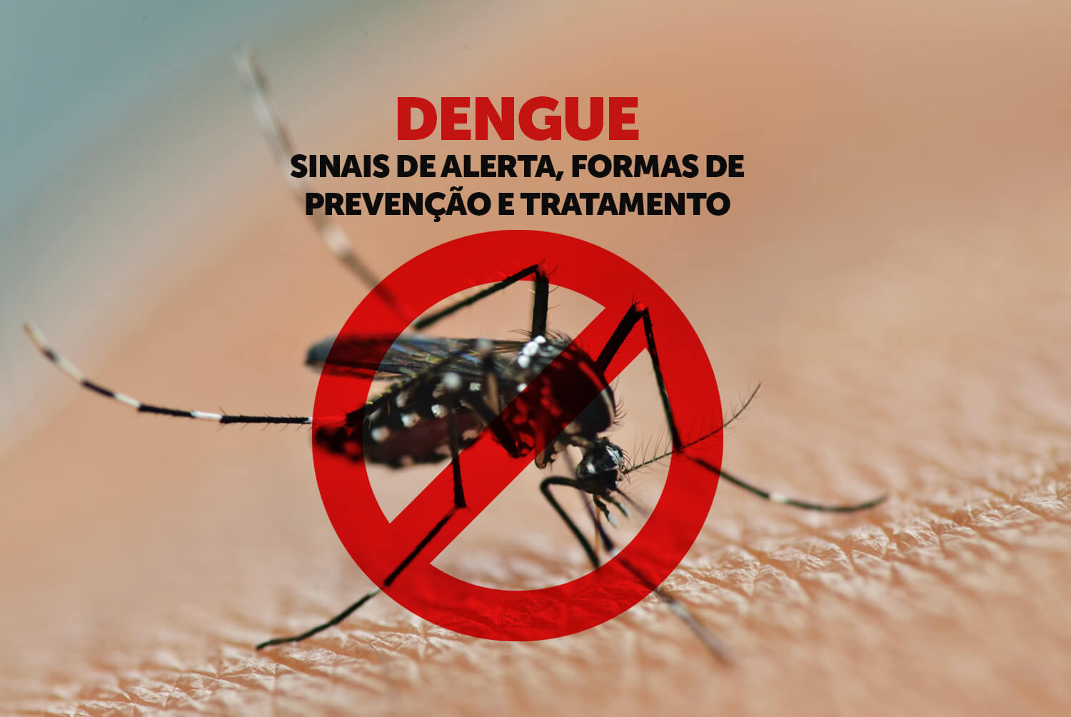Dengue