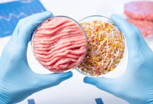 Alimentação do Futuro