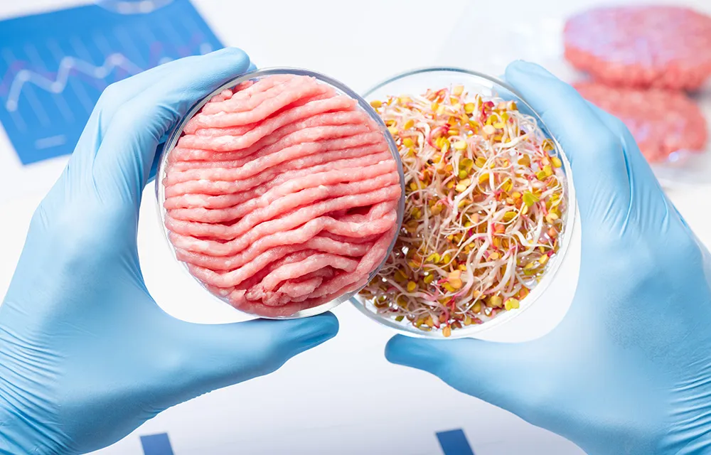 Alimentação do Futuro