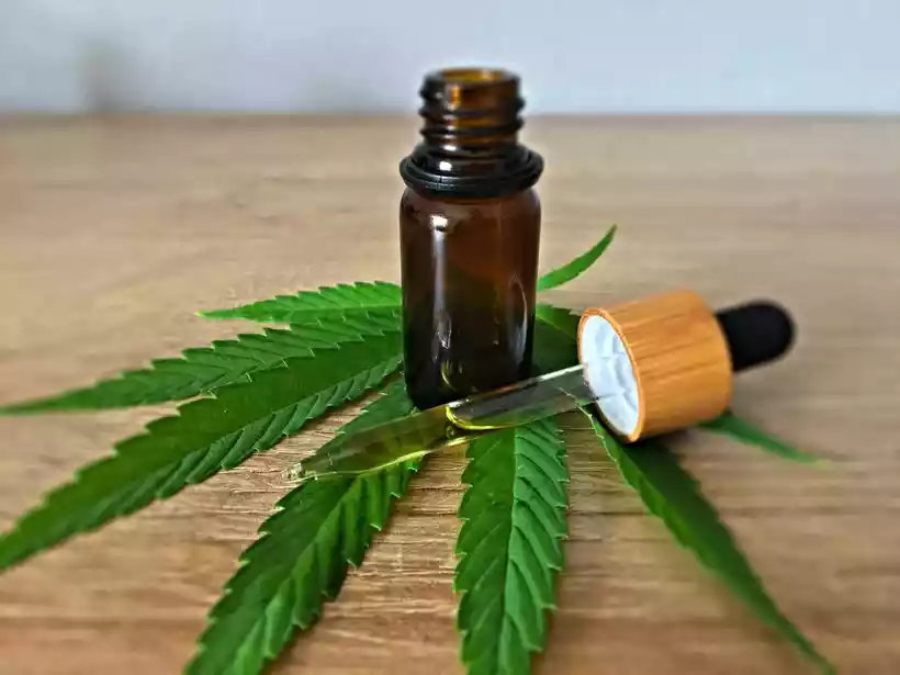 Folha de Cannabis: Maconha