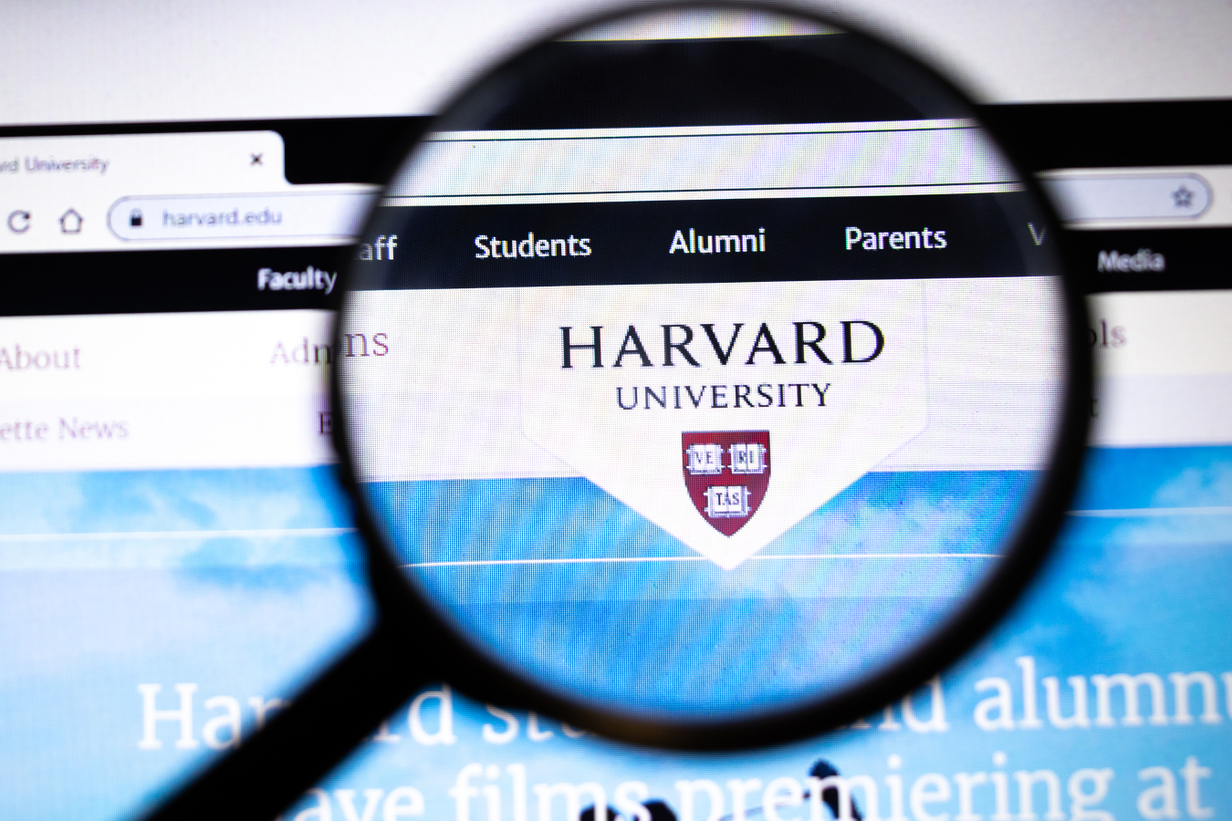 Harvard Cursos Gratuitos
