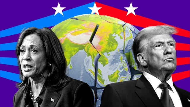 TrumpXHarris