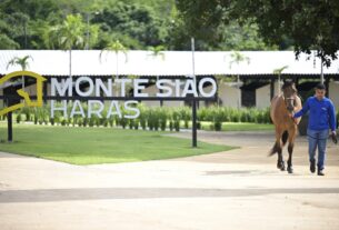 Criação feita por Monte Sião