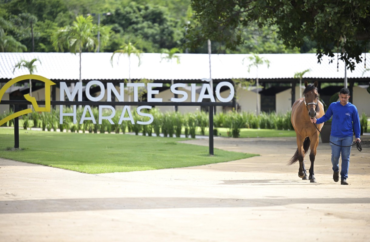 Criação feita por Monte Sião